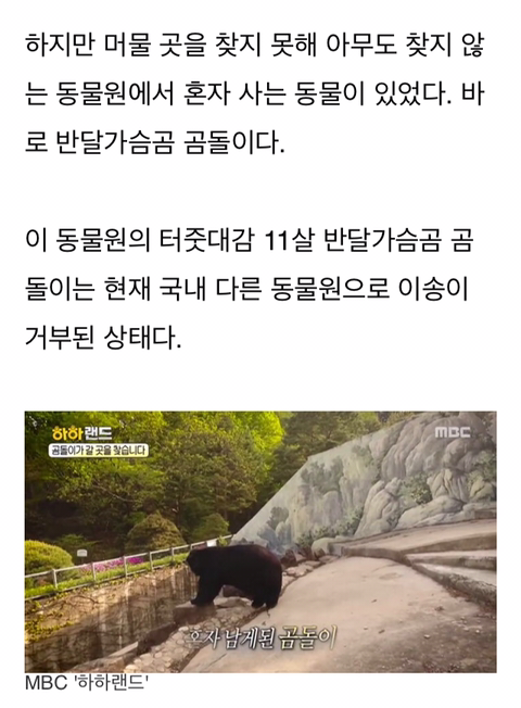 경영난으로 문 닫은 텅 빈 포천동물원에서 홀로 빈 집 지키는 곰돌이 | 인스티즈