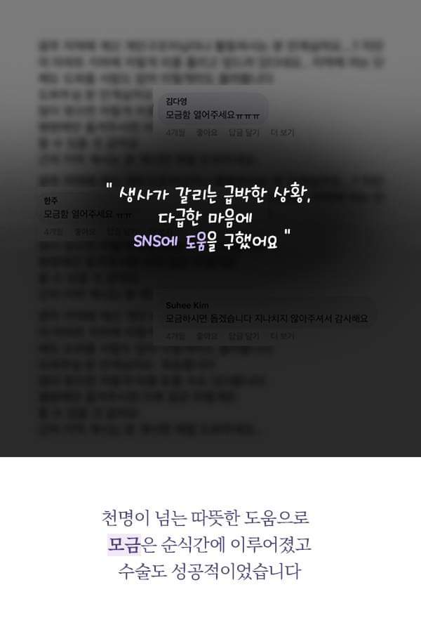 칼에 찔렸던 유기견 죽순이에게 일어난 기적 | 인스티즈