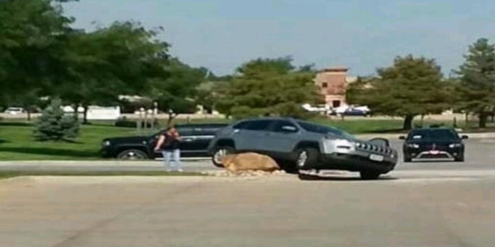 돌 하나 있다고 사고 나겠어? | 인스티즈