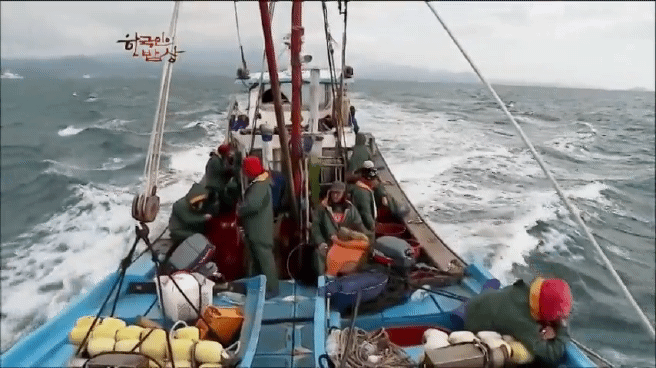 한국인의 밥상 제주 방어편 | 인스티즈