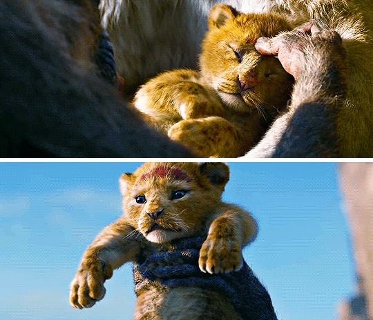 라이온킹 1994/2019 비교.jpgif | 인스티즈