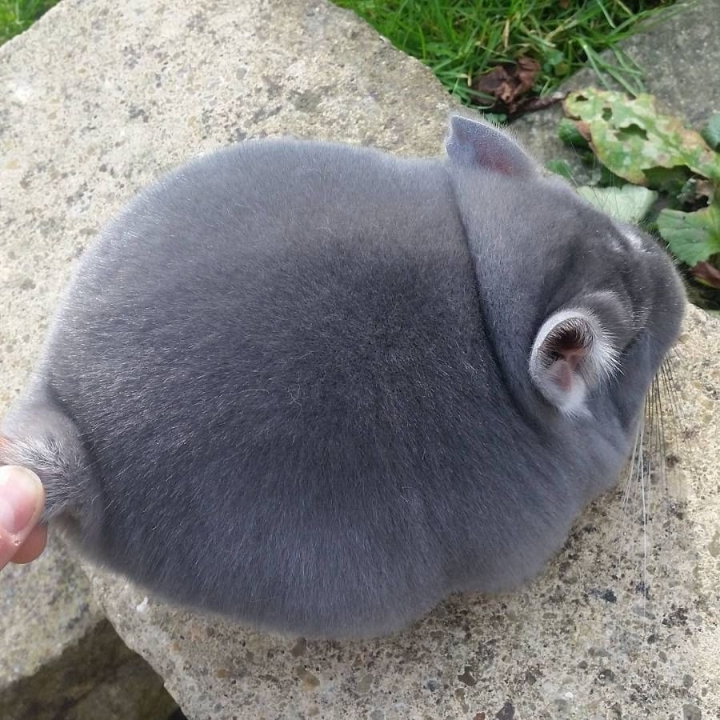 탐스러운 엉덩이 | 인스티즈