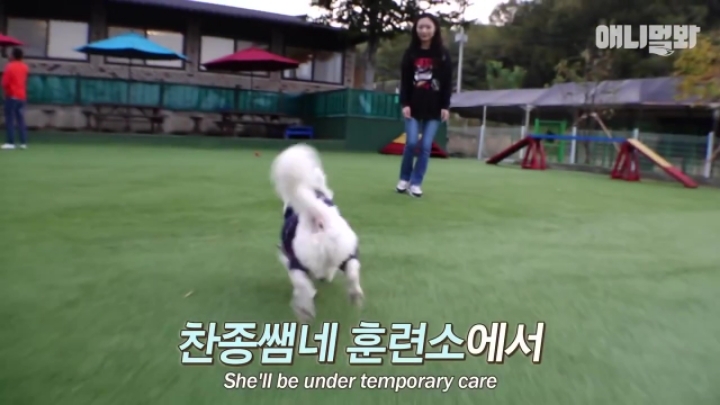 산책로 화장실에 유기된 강아지의 사연.jpg | 인스티즈