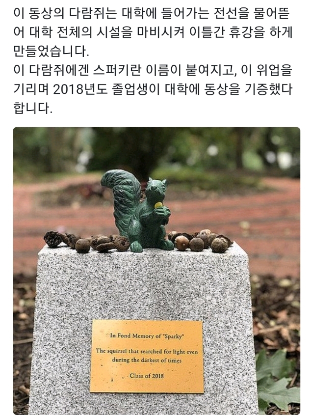 한 외국 대학의 다람쥐 동상.jpg | 인스티즈