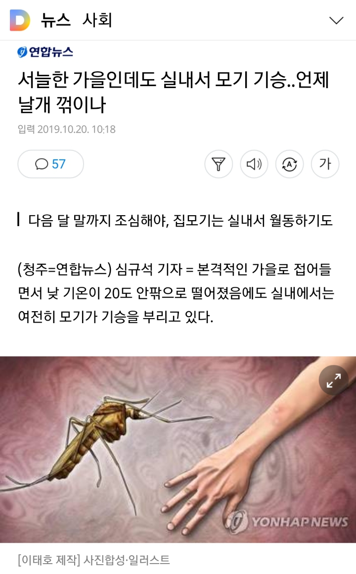 서늘한 가을인데도 실내서 모기 기승..언제 날개 꺾이나 | 인스티즈