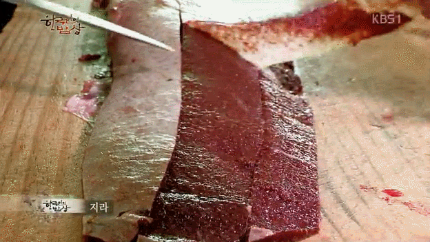 한국인의 밥상 소고기.jpg (혐오주의) | 인스티즈