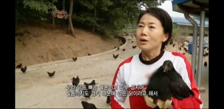 한국인의 밥상 삼계탕편 | 인스티즈