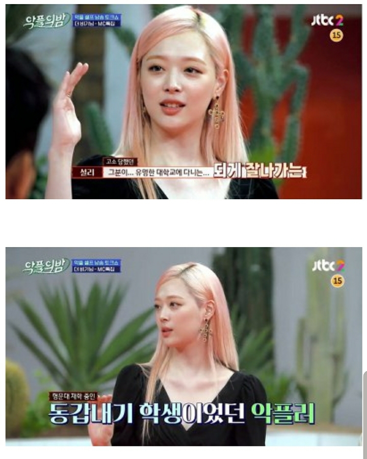 몇년간 악플에 시달리며 괴로워했던 설리 | 인스티즈