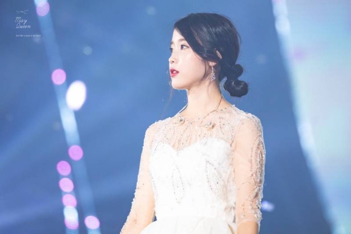 아이유 콘서트용 드레스 크기.jpg | 인스티즈