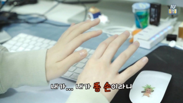 아이유 콘서트 예매 실패한 이지은 씨 | 인스티즈