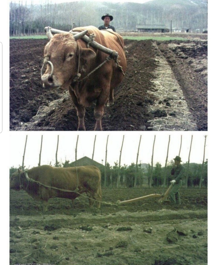 추억의 1970년대 사진들 | 인스티즈