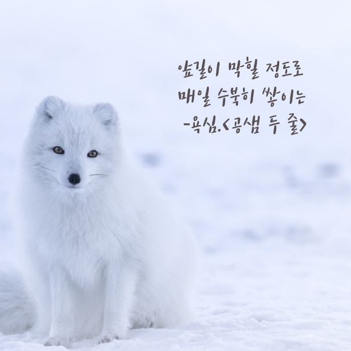 아주코칭협동조합 이미지
