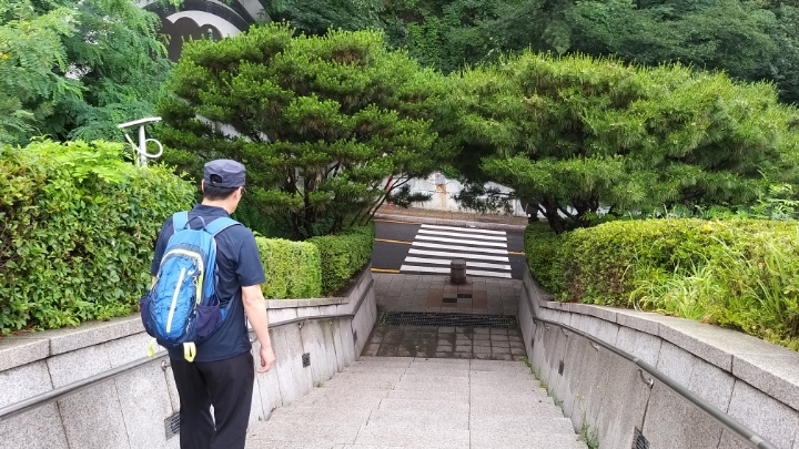 남산꽃화원 이미지