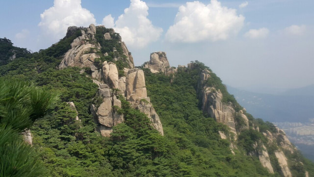 금수강산 이미지