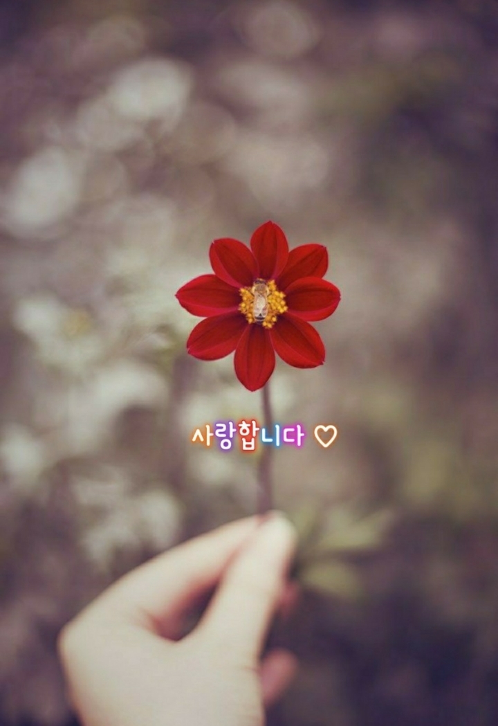 로드뮤직 이미지