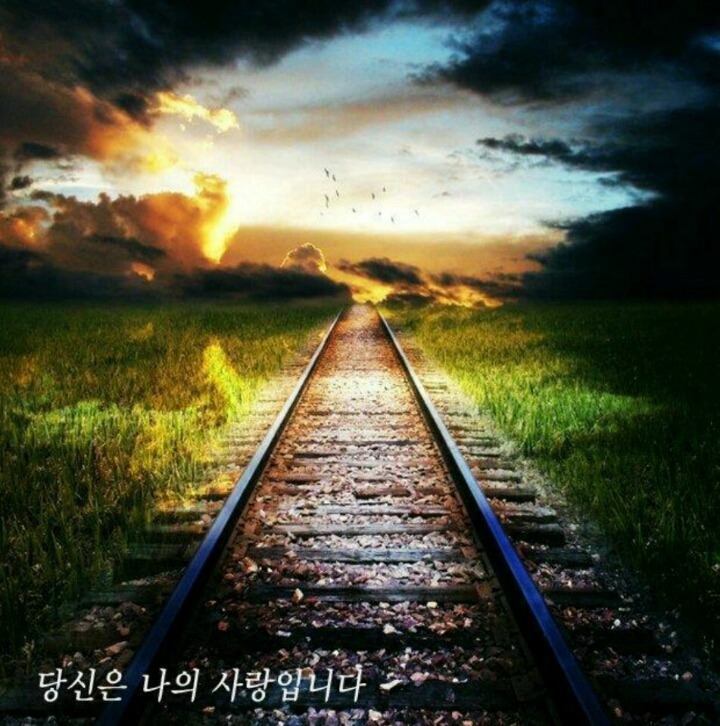 지그미 이미지