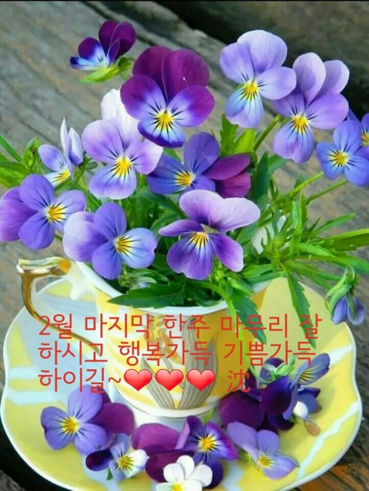 꽃길만걸어요 이미지