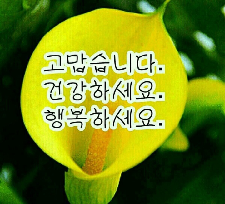 제일인사 이미지