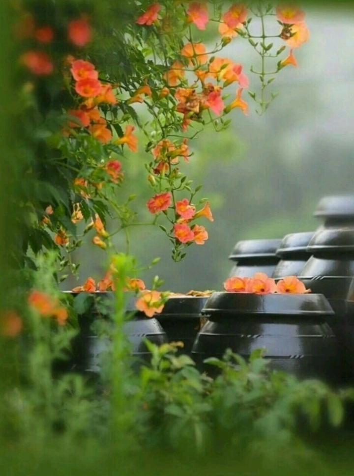 로드뮤직 이미지