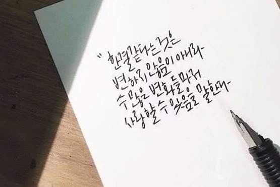 어머 이미지