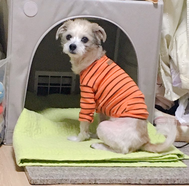 또또 이미지