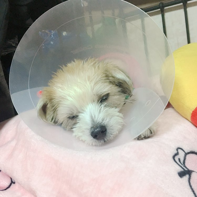또또 이미지