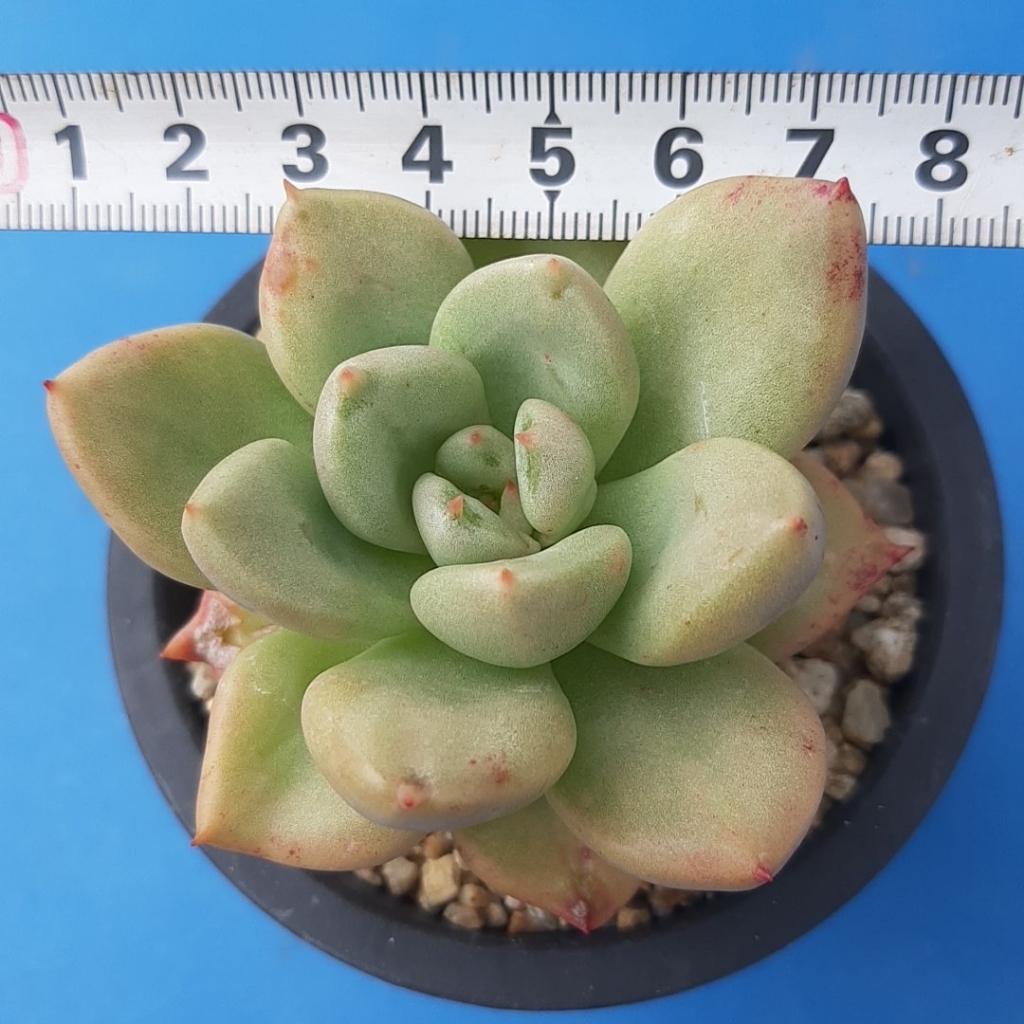 아트프로 이미지