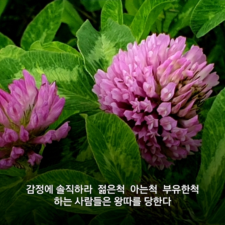 밝은생각 이미지