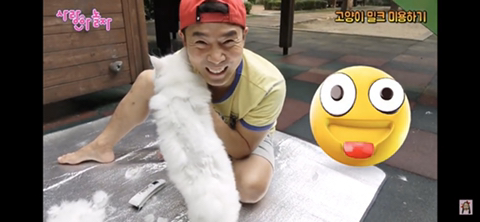 아파트 놀이터에서 고양이 털 깍는 키즈유튜버 애비 | 인스티즈