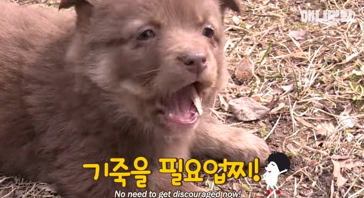 나만 점박이 없어...ㅠ 다른 형아들 다 점박이 있고 나만 없어....ㅜㅜ | 인스티즈