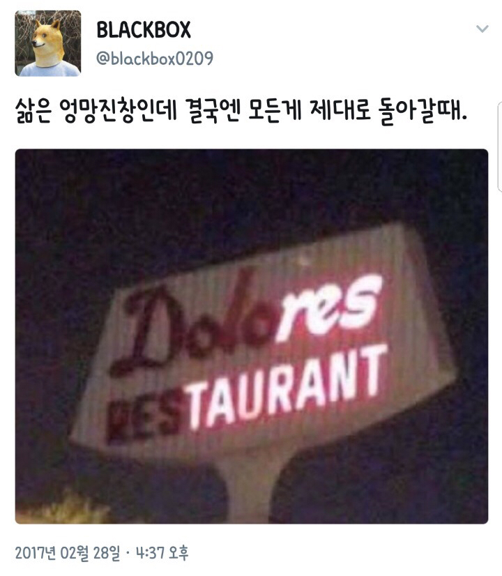 살면서 나를 배신하지 않는 것들 | 인스티즈