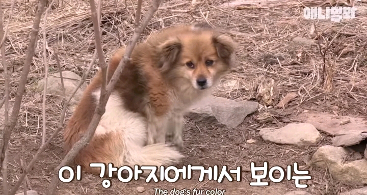 나만 점박이 없어...ㅠ 다른 형아들 다 점박이 있고 나만 없어....ㅜㅜ | 인스티즈