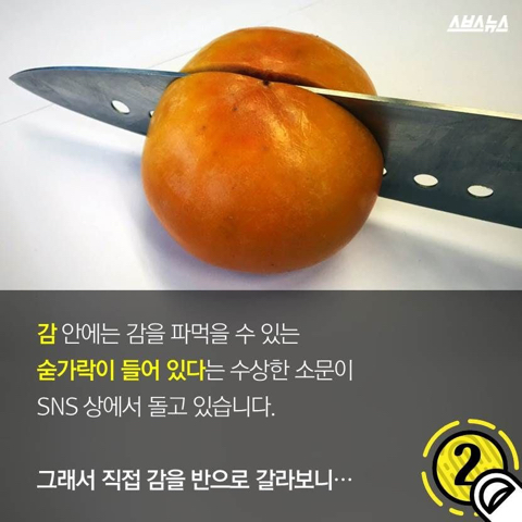 감안에 들어있는 숟가락 | 인스티즈