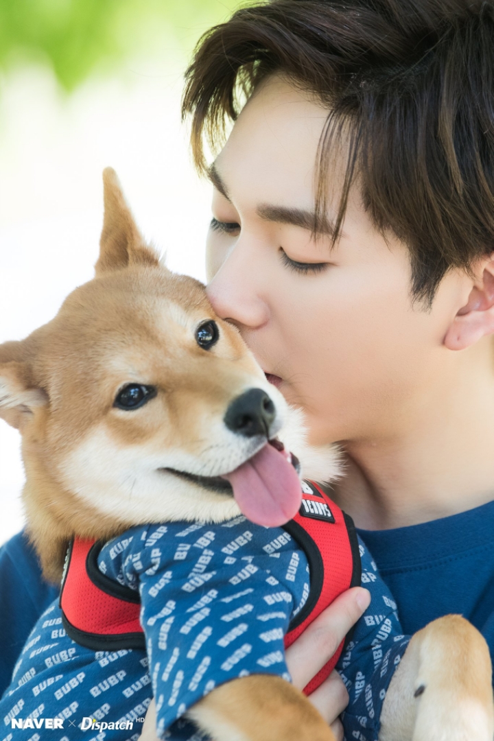 노아 이미지