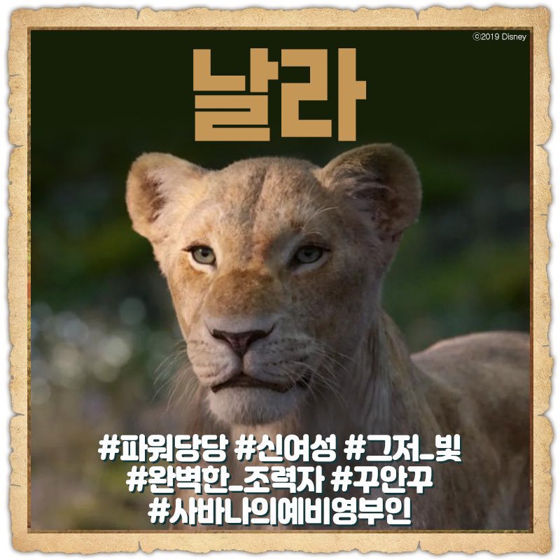 사자코리아 이미지