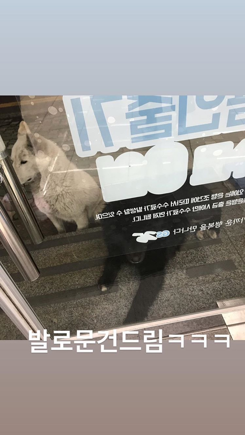 알바하다가 댕댕이들이랑 짱친 먹었던 적 있는데 | 인스티즈