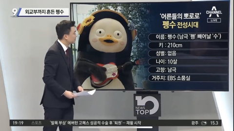 오늘자 저녁 뉴스 점령한 동물 | 인스티즈