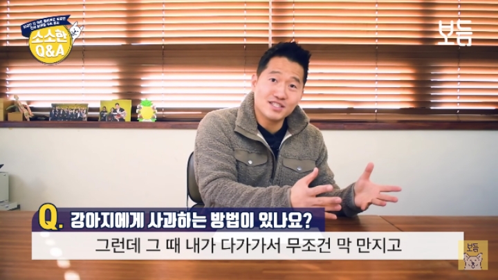 강아지 모르고 쳤을때 사과하는 방법.jpg | 인스티즈