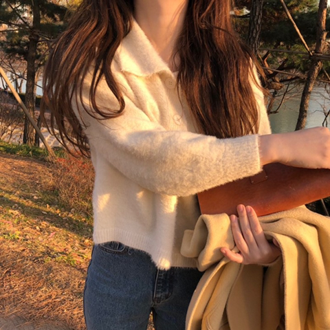 프롬시아 이미지