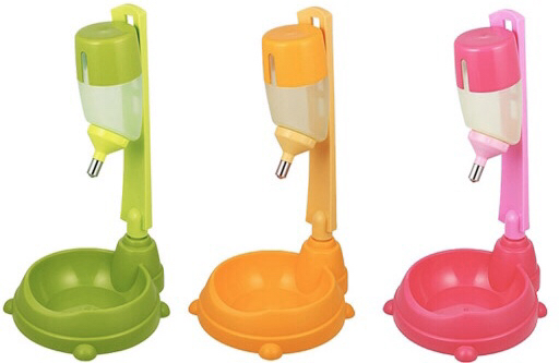 생각보다 많은 반려동물 보호자들이 하고 있는 동물학대.jpg | 인스티즈