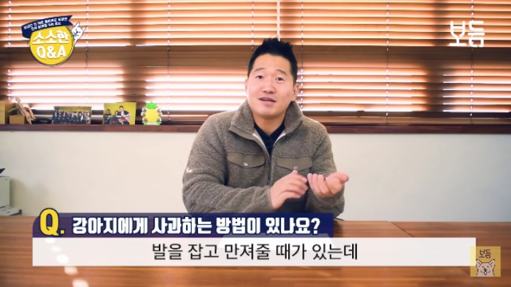 강아지 모르고 쳤을때 사과하는 방법.jpg | 인스티즈