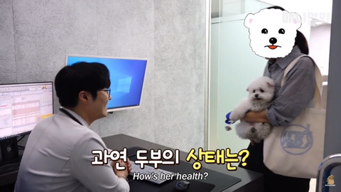 돌멩이를 물고 다니는 강아지 ㅋㅋㅋㅋ(귀여움주의) | 인스티즈