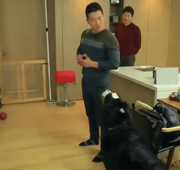 개가 자신을 물려고 하는것을 알아 챈 강형욱 | 인스티즈