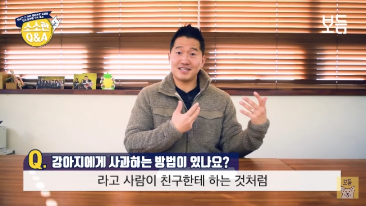 강아지 모르고 쳤을때 사과하는 방법.jpg | 인스티즈