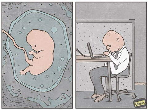 두 번 봐야 이해된다는 사회 풍자 일러스트 모음 | 인스티즈