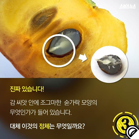 감안에 들어있는 숟가락 | 인스티즈
