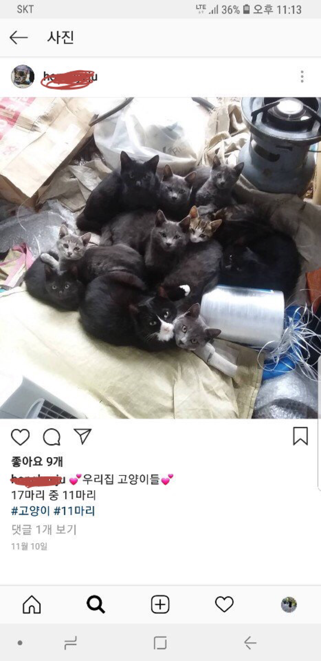 한 겨울에 키우던 고양이들을 방생해줬다는 사람 | 인스티즈