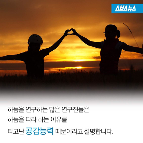 하품을 따라하게 되는 이유 | 인스티즈