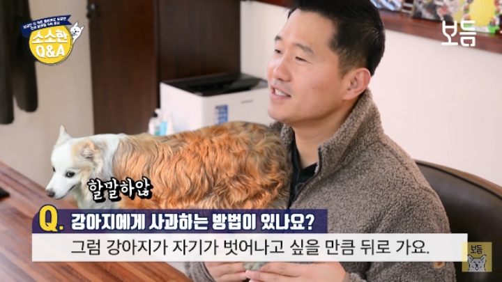 강아지 모르고 쳤을때 사과하는 방법.jpg | 인스티즈