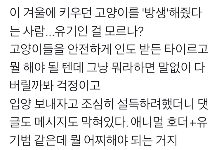 한 겨울에 키우던 고양이들을 방생해줬다는 사람 | 인스티즈